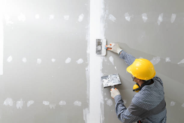 Best Industrial Mold Remediation  in Bartonsville, MD