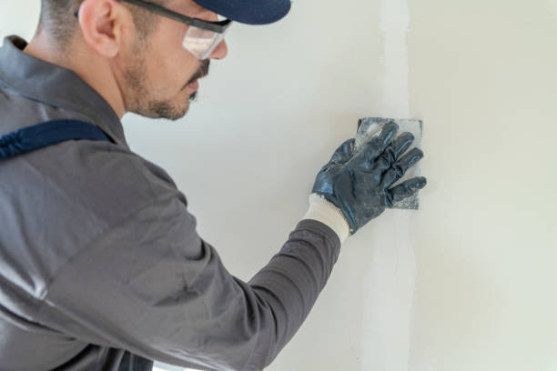 Best Emergency Mold Remediation  in Bartonsville, MD