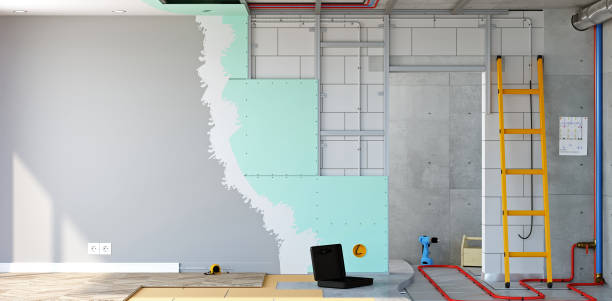 Best Basement Mold Removal  in Bartonsville, MD