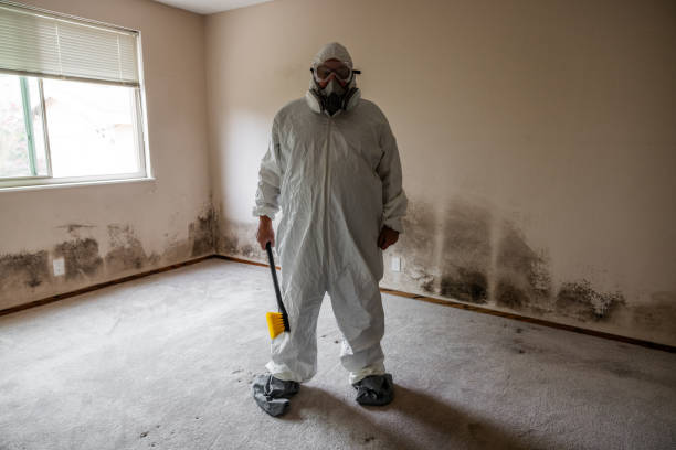 Best Attic Mold Removal  in Bartonsville, MD