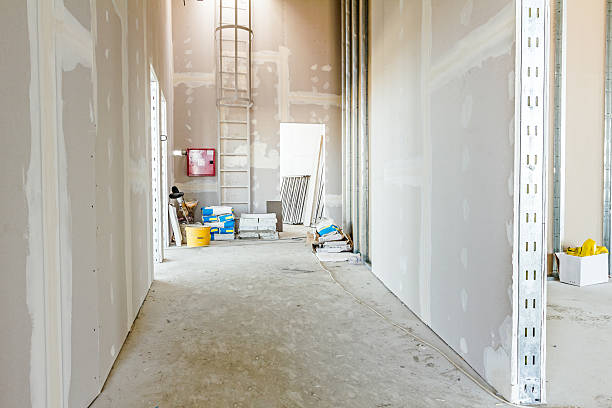 Best Airborne Mold Testing  in Bartonsville, MD